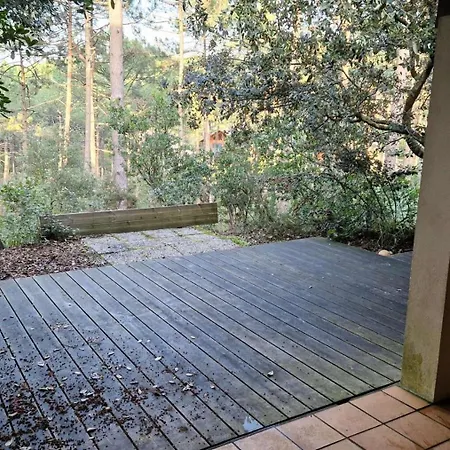 샬레 129-maubuisson - 129 - Maison Typique De 70 M² A Maubuisson - Jusqu'a 6 Personnes Mae-9841
